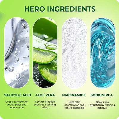 VINR SA Face Cleanser hero ingredients—Salicylic Acid Aloe Vera, Niacinamide, Sodium PCA