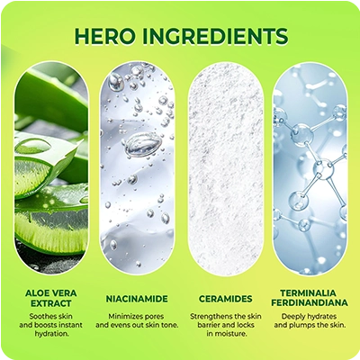 VINR Niacinamide Booster hero ingredients—Aloe Vera, Niacinamide, Ceramide, Tremella Mushroom